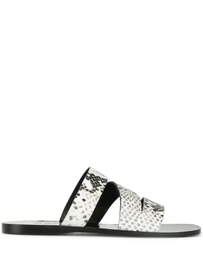 Senso Blair Ii Sandals In White