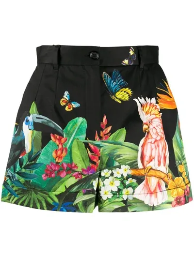 Dolce & Gabbana Printed Stretch-cotton Poplin Shorts In Black