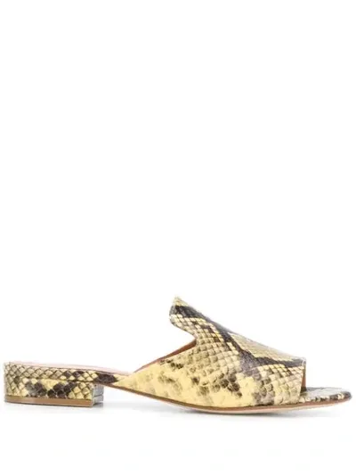 Via Roma 15 Snakeskin-effect Low-heel Mules In Yellow