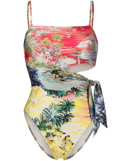 Zimmermann Juliette Palm Tree Print Swimsuit In Green