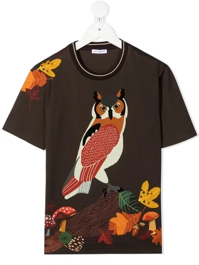 Dolce & Gabbana Kids' Owl Print Cotton Jersey T-shirt In Marrone