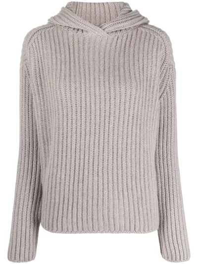 Fedeli Hooded Cashmere Jumper In Neutrals