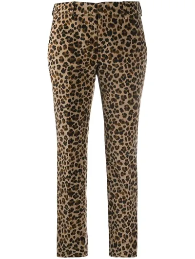 Pt01 Cropped Leopard-print Trousers In Black