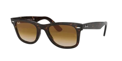 Ray Ban Ray In Brown