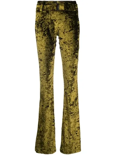 Misbhv Velvet Flared Trousers In Green