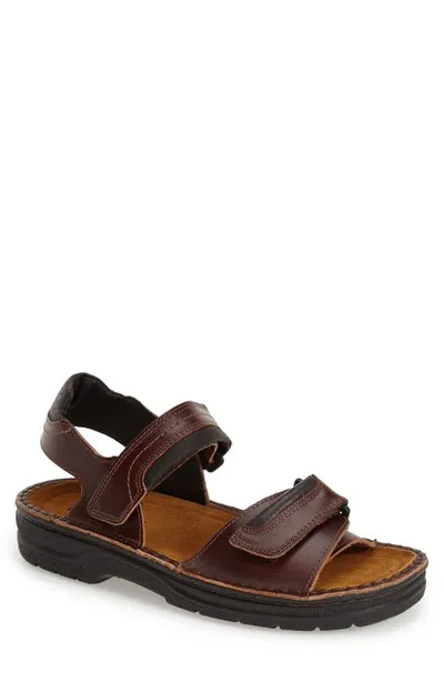 Naot Lappland Sandal In Brown