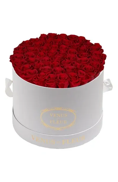 Venus Et Fleur Classic Large Eternity Roses In Dark Red