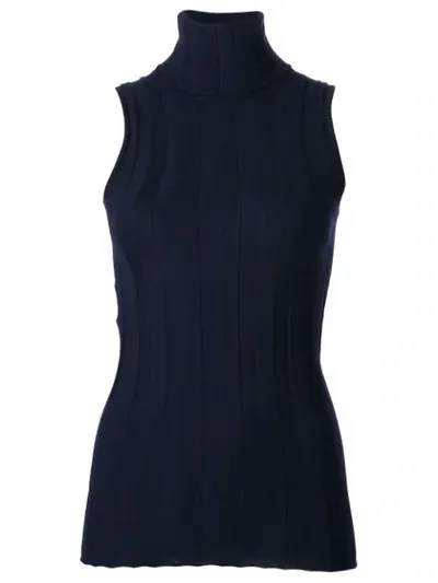 Derek Lam Elle Ribbed Sleeveless Turtleneck In Blue