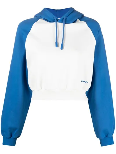 Sunnei Dust And Blue Cotton Sweatshirt In White/blue