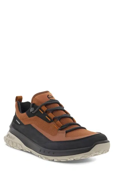 Ecco Ult-trn Low Waterproof Hiking Shoe In Black/cognac