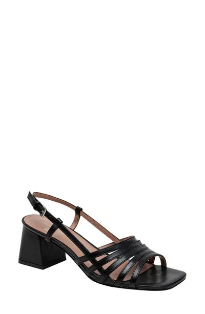 Linea Paolo Isanie Slingback Sandal In Black