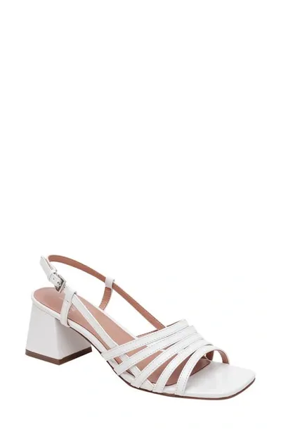 Linea Paolo Isanie Slingback Sandal In Eggshell