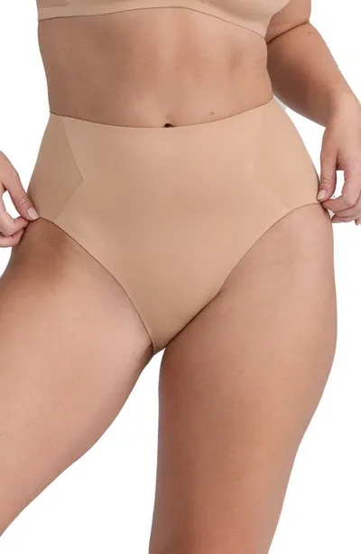 Honeylove Crossover Briefs In Sand