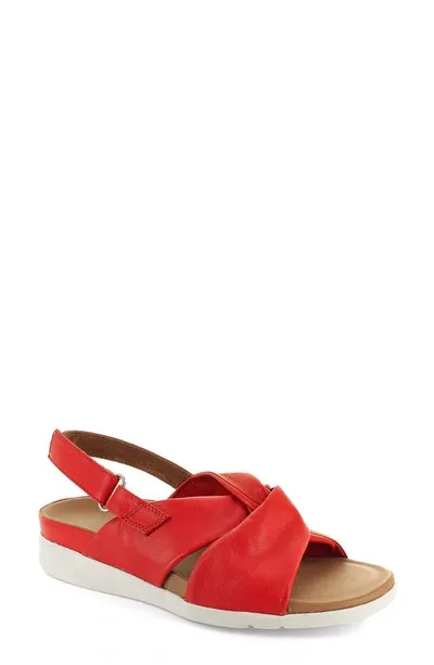 Strive Tahiti Ii Sandal In Red