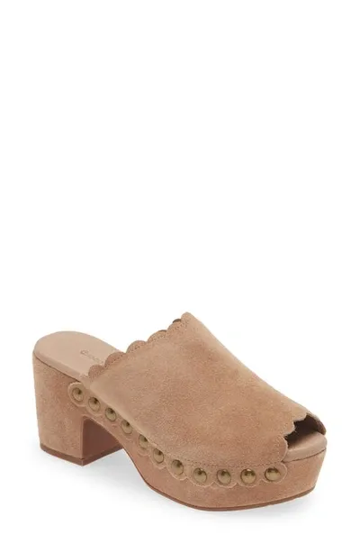 Chocolat Blu Genessis Platform Sandal In Latte Suede