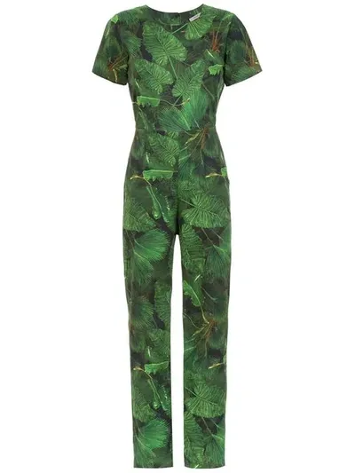 Isolda Alexa Jungle Night Jumpsuit In Green