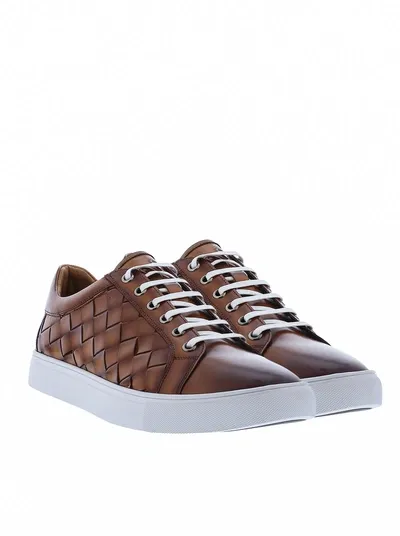 Robert Graham Appaloosa Sneakers In Cognac