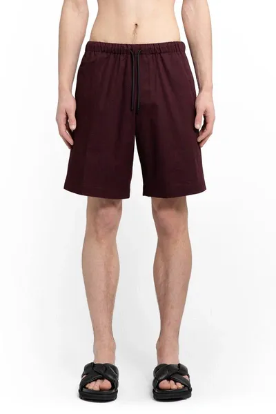 Dries Van Noten Shorts In Purple