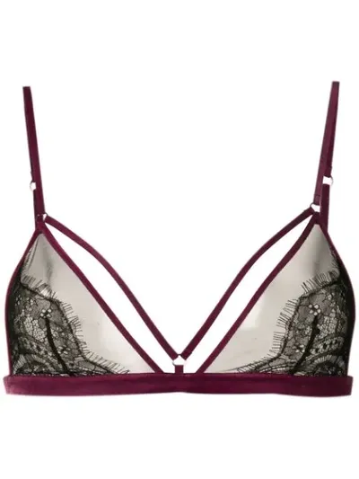 Maison Close Coup De Foudre Triangle Bra In Black