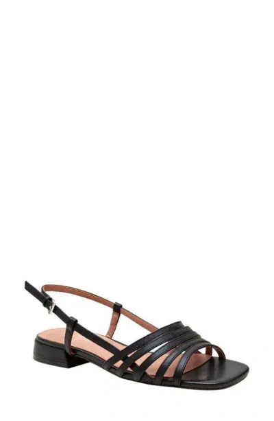 Linea Paolo Lilian Slingback Sandal In Black