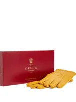 Dents Leather Cashmere-lined Gloves In Brown