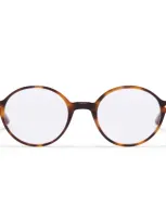 Taylor Morris Eyewear Tm017-c2 In Brown