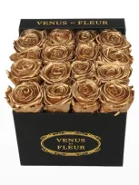 Venus Et Fleur Classic Small Square Rose Box In Gold